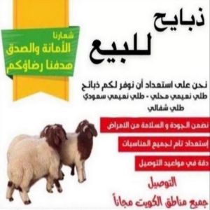 قصاب - قصاب متنقل - بالكويت 60777317 - ذبايح - ذبائح الكويت - غنم للبيع - اغنام للبيع - ذبايح للبيع - غنم - سوق غنم - اغنام عربى للبيع - جزار - ذبائح 3 1676441160368 قصاب - قصاب متنقل - بالكويت 60777317 - ذبايح - ذبائح الكويت - غنم للبيع - اغنام للبيع - ذبايح للبيع - غنم - سوق غنم - اغنام عربى للبيع - جزار - ذبائح