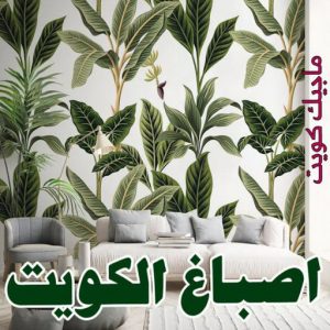 صباغ الفنيطيس - اصباغ الفنيطيس - صباغ 60057751 - رقم صباغ الفنيطيس - اصباغ الفنيطيس رخيص - صباغ الفنيطيس الكويت - صباغ بالفنيطيس - صباغ 4 اصباغ الكويت