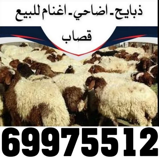 2 المنيوم الكويت – فني المنيوم - احمد 99186894 - المنيوم - شتر - تركيب مطابخ - فني شتر - تركيب شتر - تصليح شتر - تصليح مطبخ - معلم المنيوم - فني المنيوم الكويت