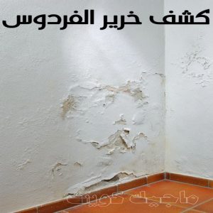 كشف خرير الفردوس