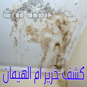 كشف خرير ام الهيمان